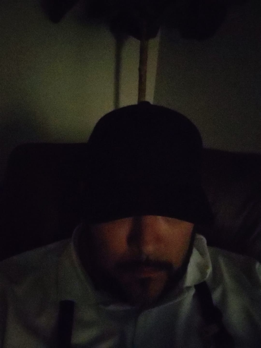 Customer photo review of Flexfit 110M/MT Trucker Mesh Snapback Cap