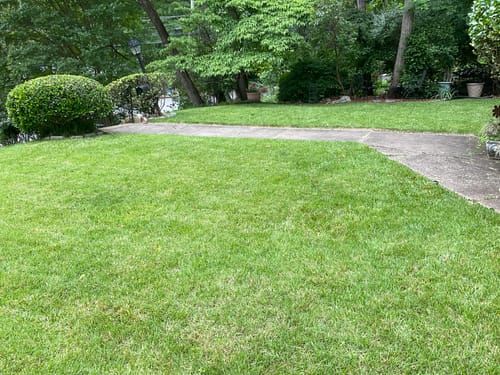 Customer photo review of EPIC Deer Scram Granular Deer Repellent