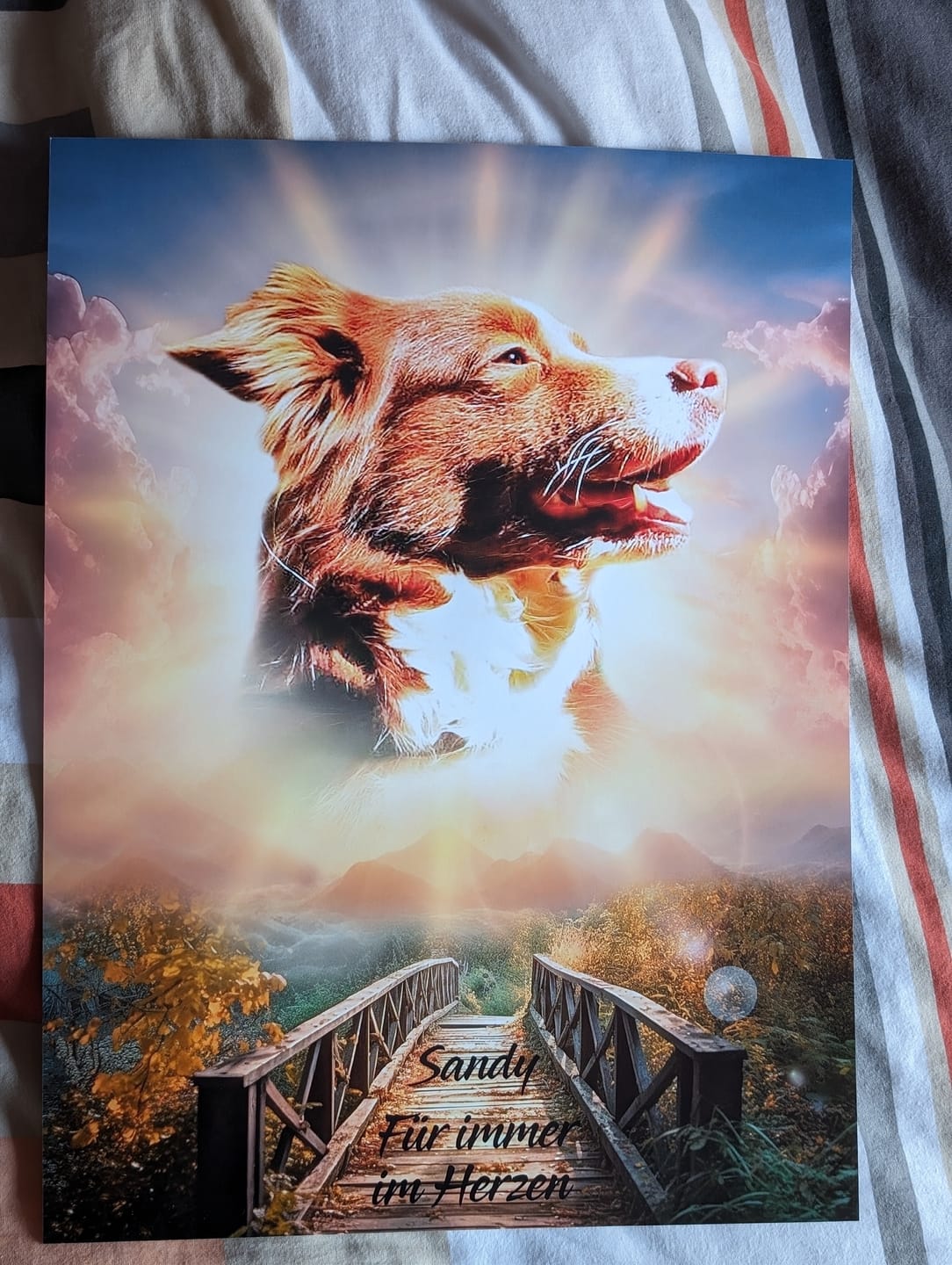 Customer photo review of Personalisiertes Portrait - Sonnen Stil