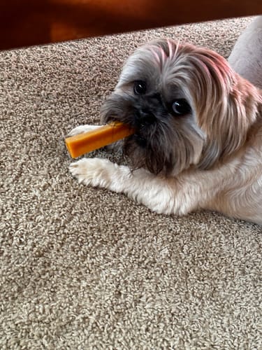 Customer photo review of PUMPKIN YAK CHEWS