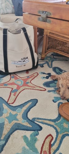 Customer photo review of Custom Boat Tote Bags