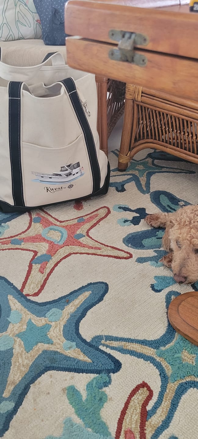 Customer photo review of Custom Boat Tote Bags