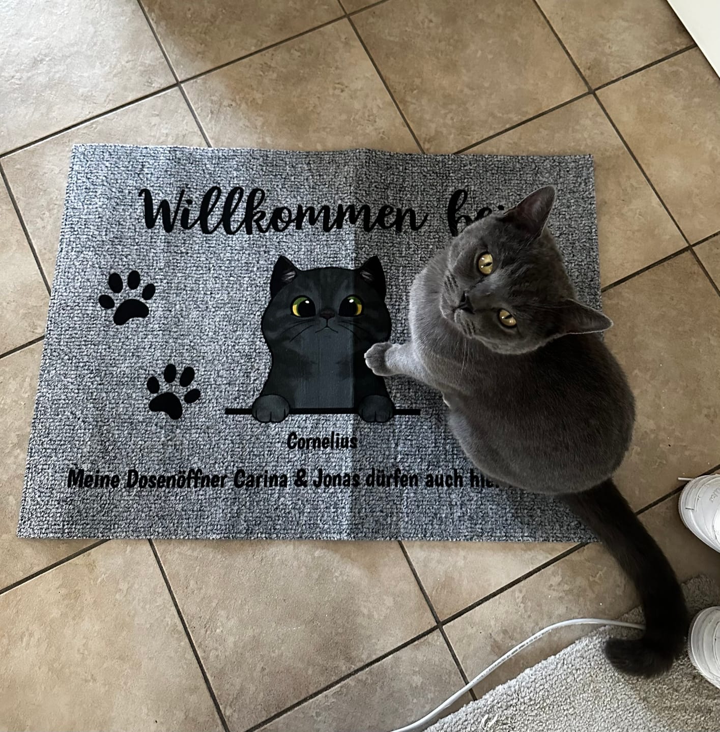 Customer photo review of Willkommen bei neugierigen Katzen - Individuelle Fußmatte