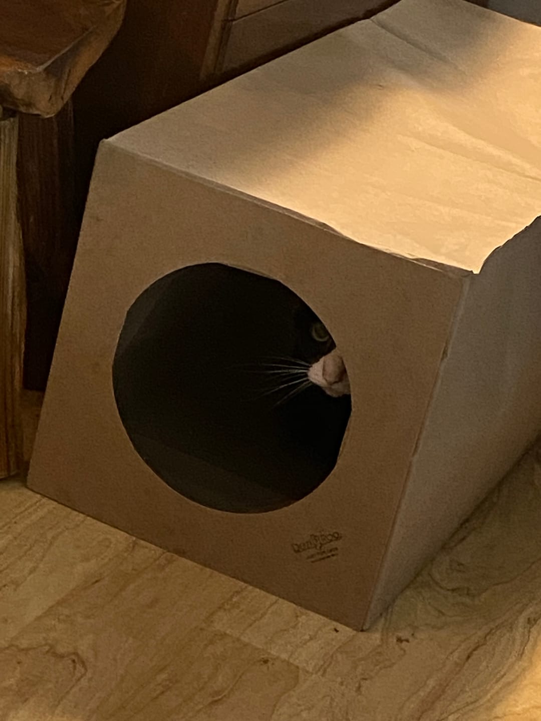 Customer photo review of Hide and Sneak - 2 Pack Unique Cat Tunnel