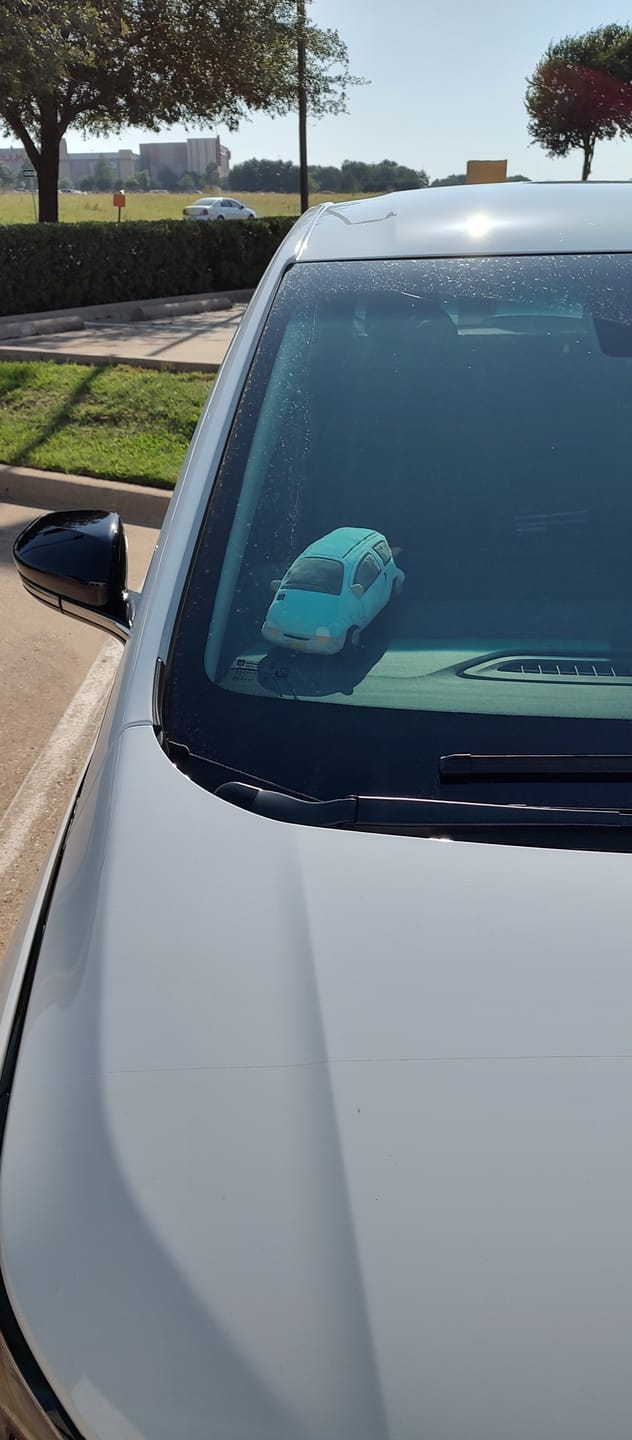 Customer photo review of Twingo Plushie