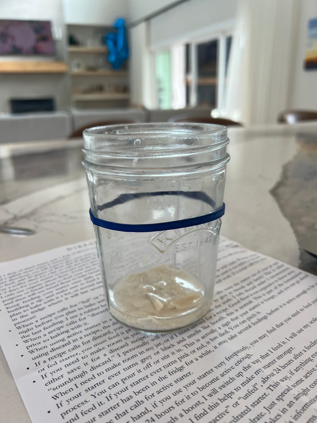 Customer photo review of Dehydrated Sourdough Starter Kit