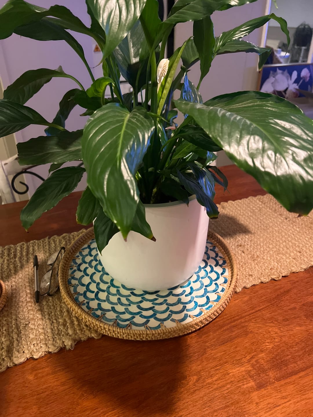 Customer photo review of Bloom Rattan Tray
