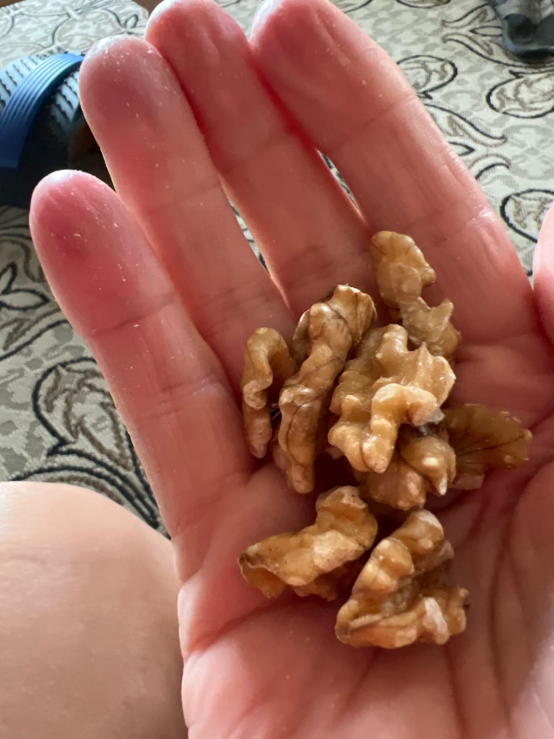 Customer photo review of Raw Australian Walnut Kernels