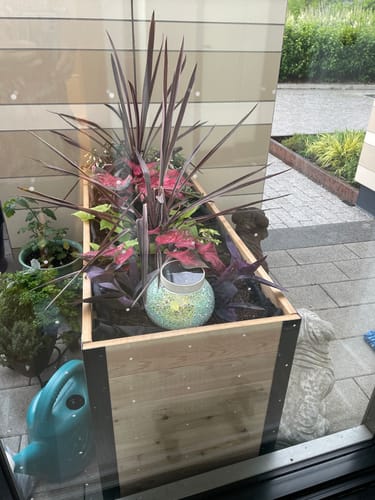 Customer photo review of 18" x 48" Planter Box - 24" Tall