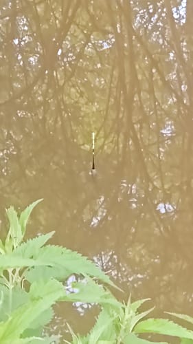 Customer photo review of 5g Smart Fishing Float