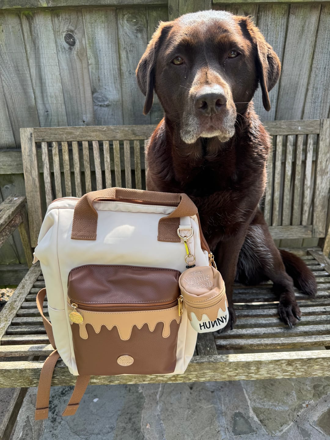 Customer photo review of Treat Pouch - Hunny Pot