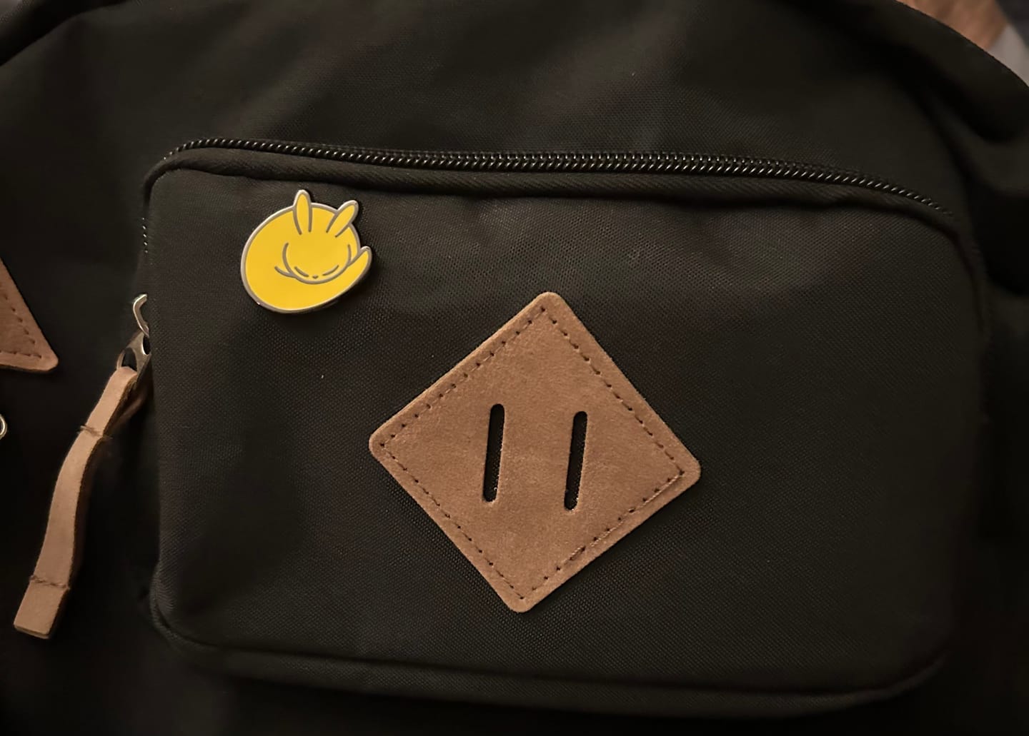 Customer photo review of Rain World - Slugcat Monk Pin