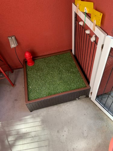 Customer photo review of Synthetic Grass for Porch Potty
