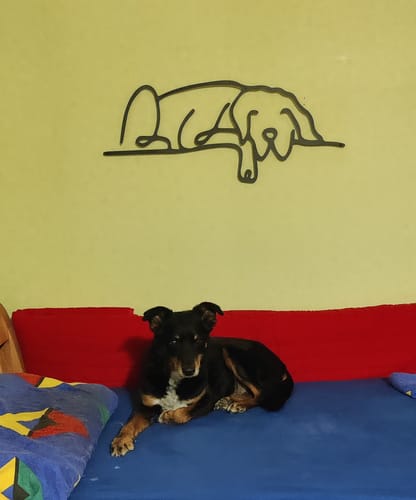 Customer photo review of Compagnon Dormant