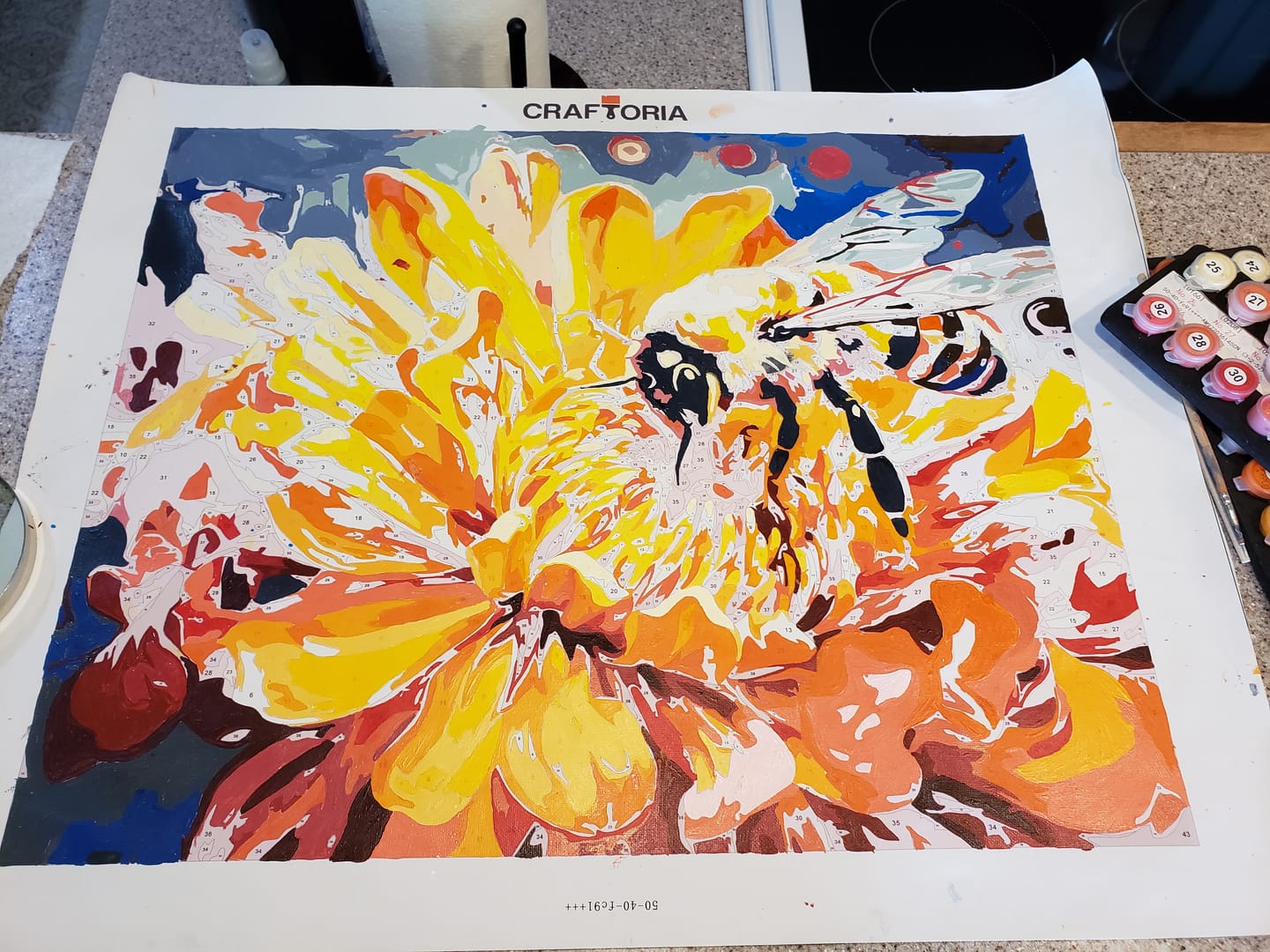 Customer photo review of Bee's Dance