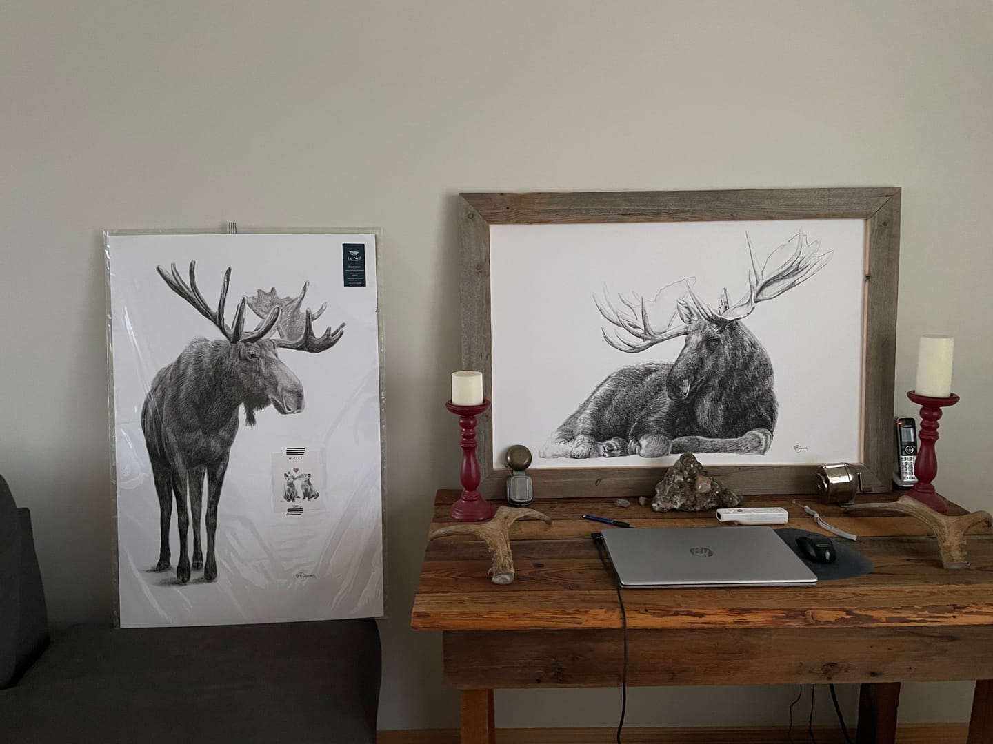 Customer photo review of Standing Moose