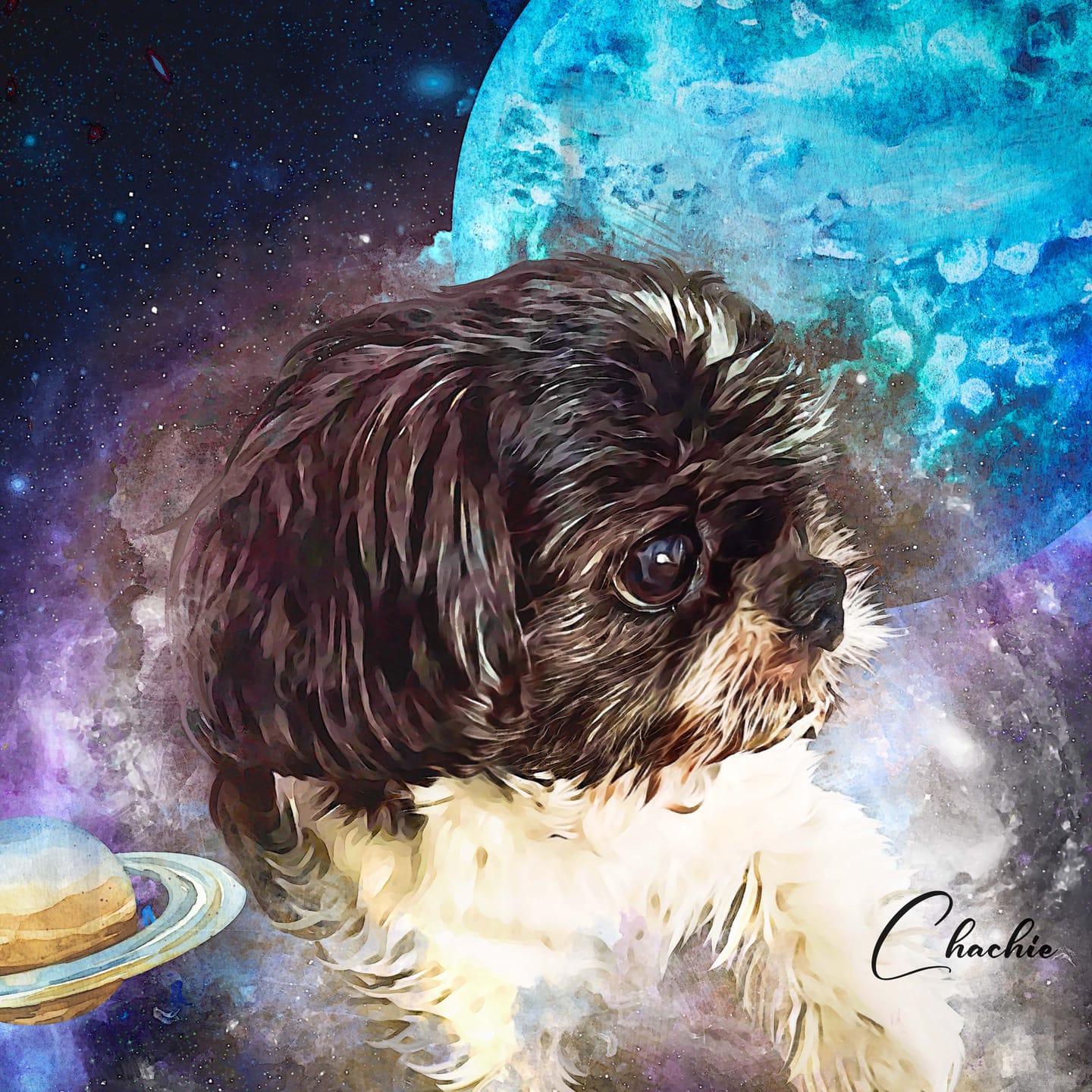 Customer photo review of Watercolor Pet Art - Pet Galaxy (PG)