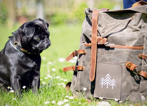 Customer photo review of Rucksack mit Patch (🌲)