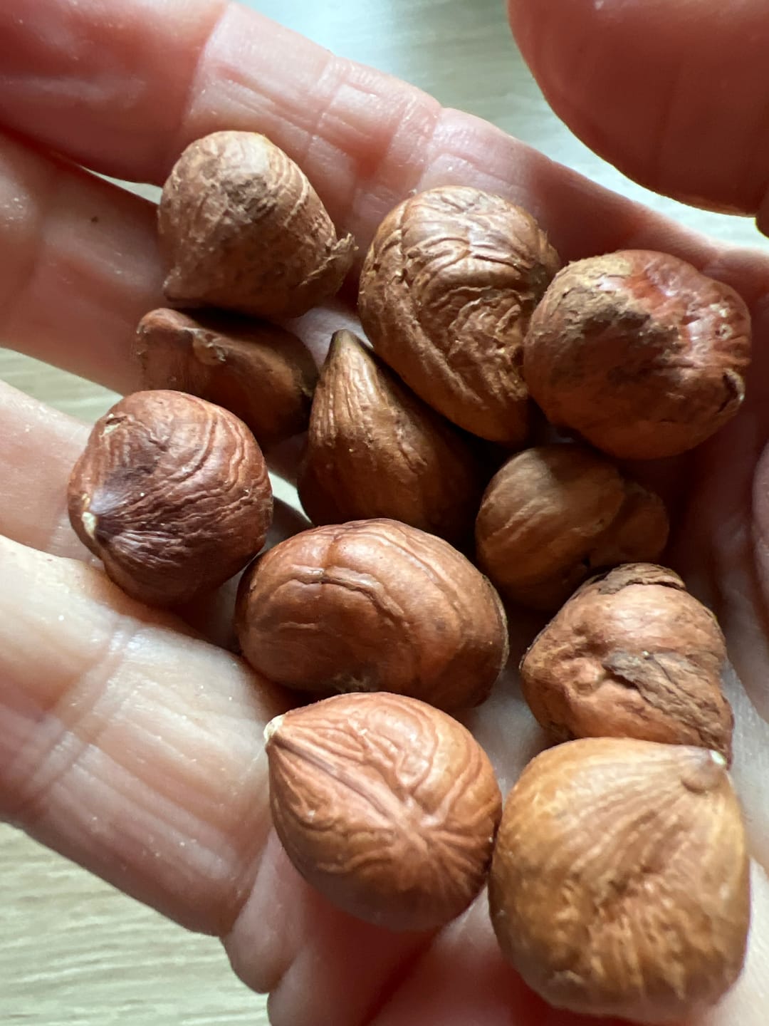 Customer photo review of Raw hazelnuts