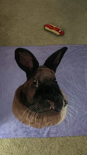 Customer photo review of Custom Pet Print Fleece Blanket