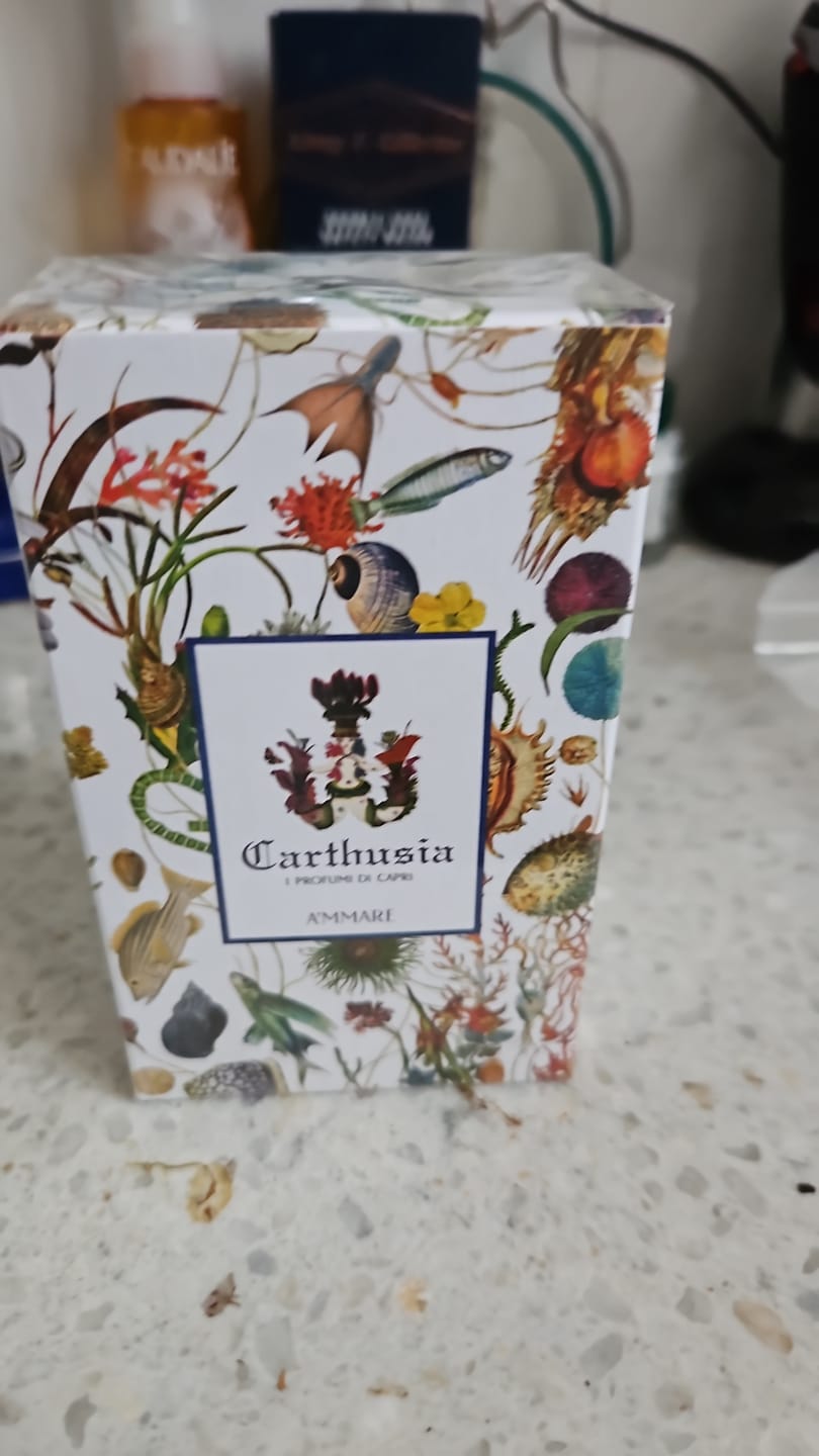 Customer photo review of CARTHUSIA - A'MMARE