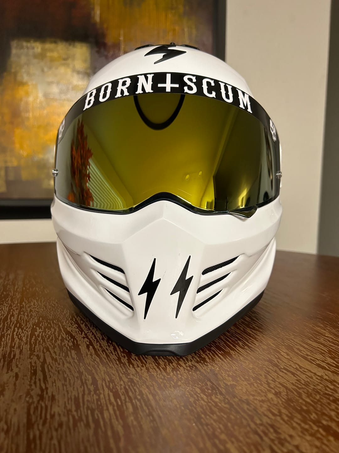 Customer photo review of INVERTED LOGO HELMET VISOR