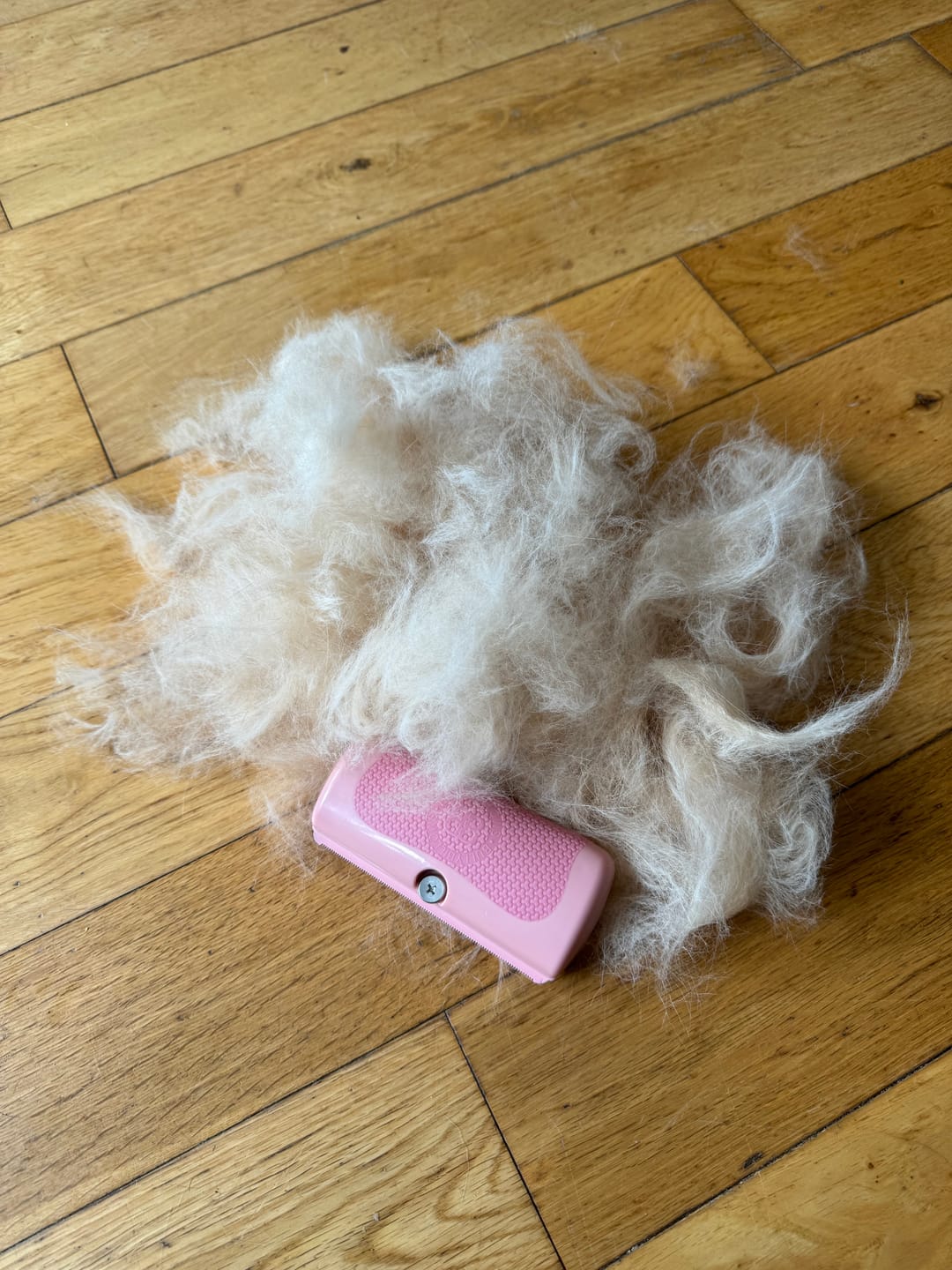Customer photo review of BullyBillows Complete Animal Deshedding Kit - Pink