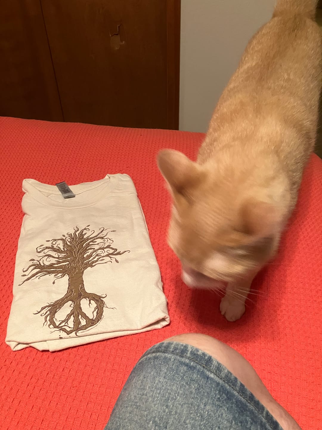 Customer photo review of Tree of Life Peace T Shirt