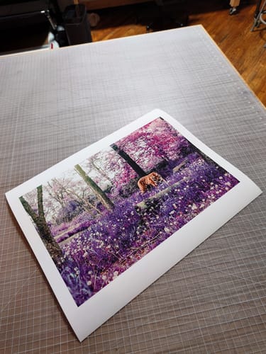 Customer photo review of Hahnemühle Photo Rag® Matt