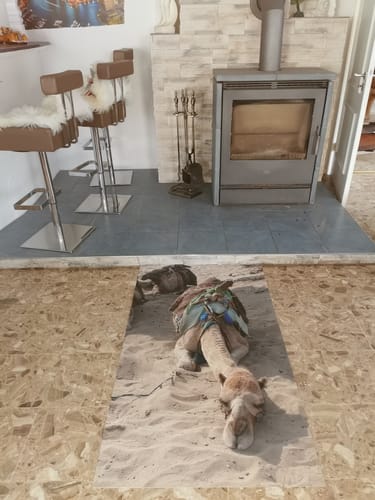 Customer photo review of Foto Vinylboden