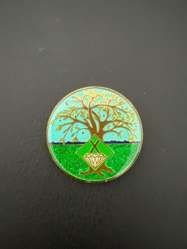Customer photo review of 10 Year Tree of Life Specialty Tri-Plated NA Recovery Medallion - Ten Year Chip/Coin - Green/Blue