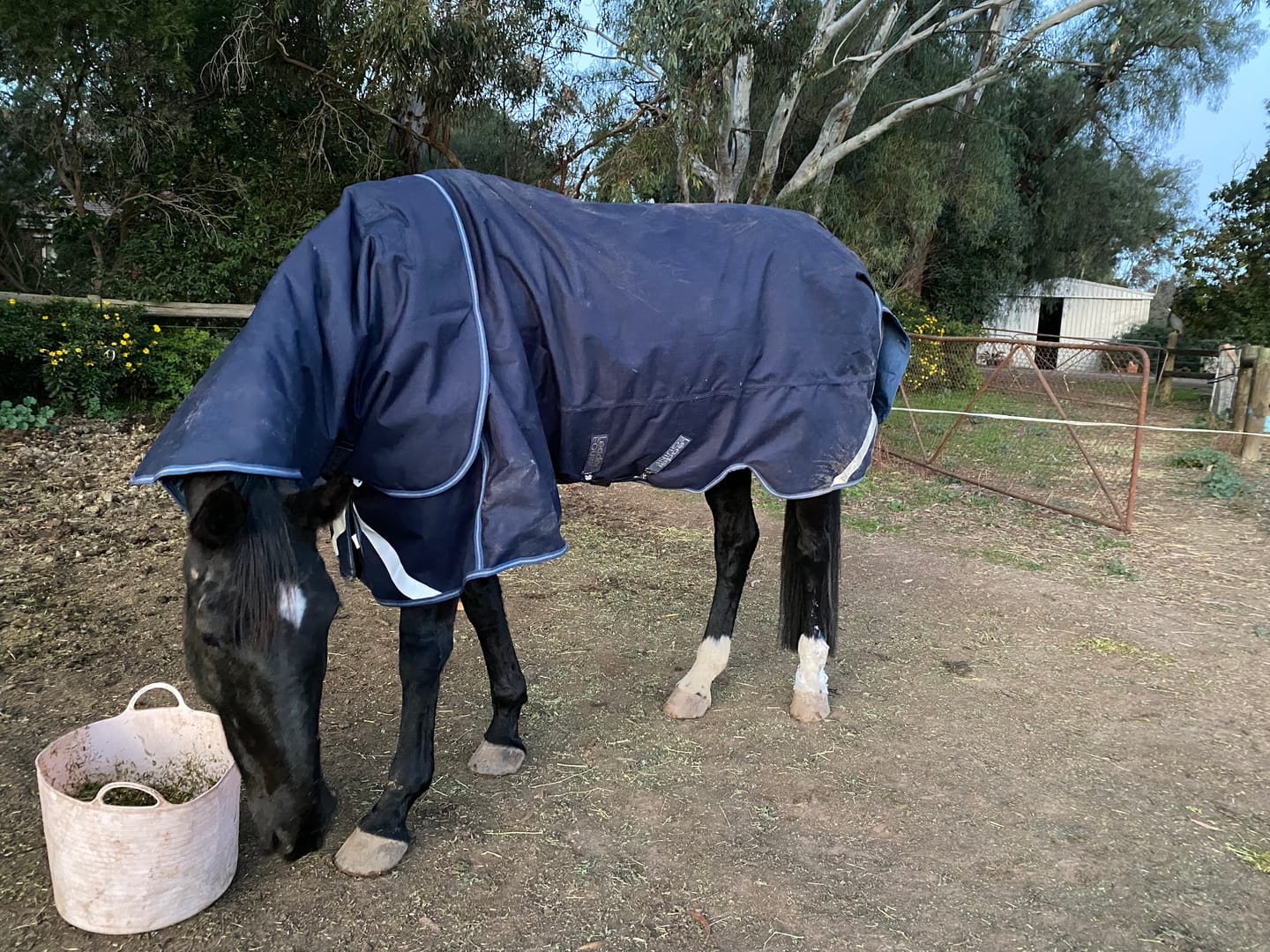 Customer photo review of LE Boxter Turnout Ripstop 200g