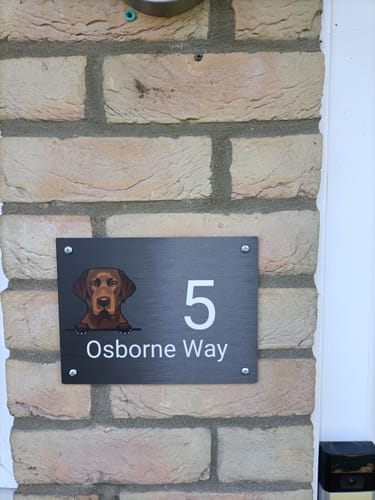 Customer photo review of Peeking dogs and house number - Personalised door sign