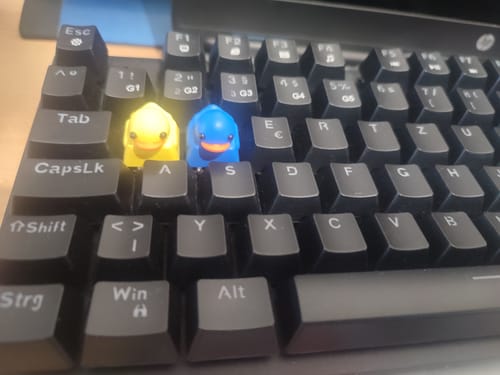 Customer photo review of FREE Blue Duckey