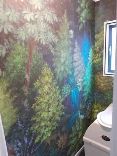 Customer photo review of Twilight Hybrid - Mural Wallpaper - Last One Left