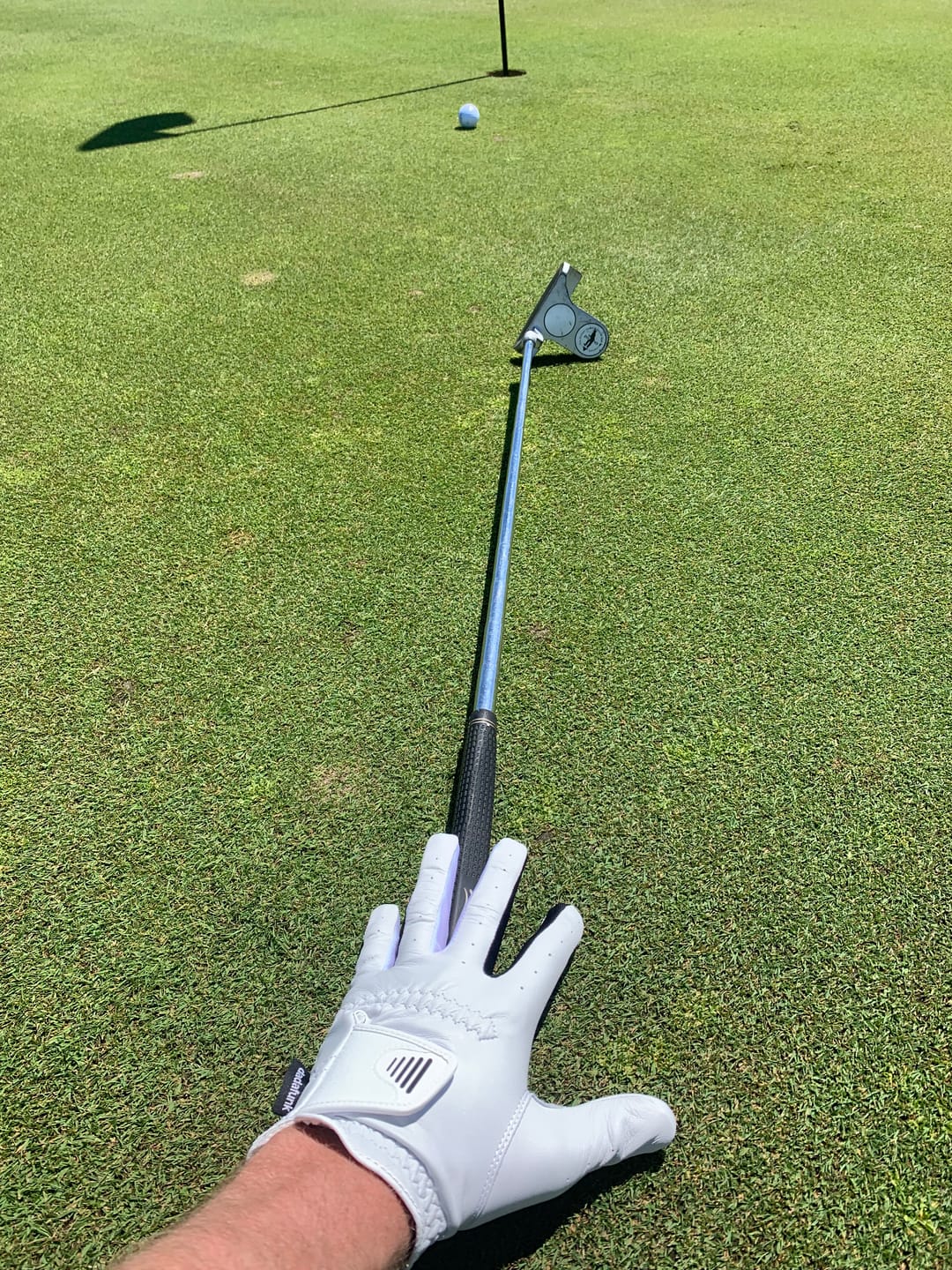 Customer photo review of Classic '31 Dark