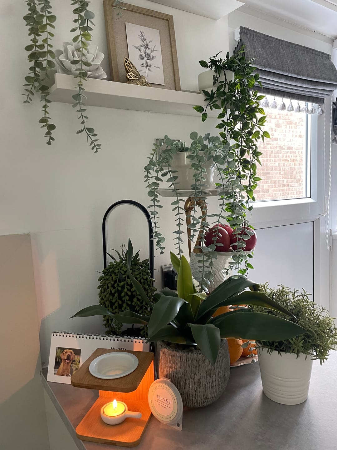 Customer photo review of Clean & Fresh Starter Set