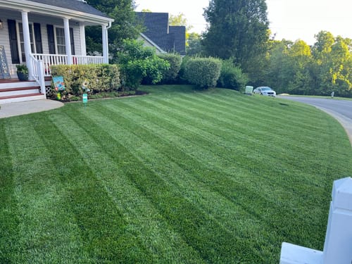 Customer photo review of 18-0-1 GreenePunch