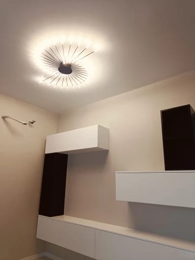 Customer photo review of WOMO Firework Starburst Flush Mount Ceiling Light-WM1000