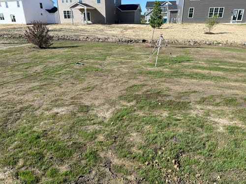Customer photo review of GCI Turf Cool Blue Grass Seed