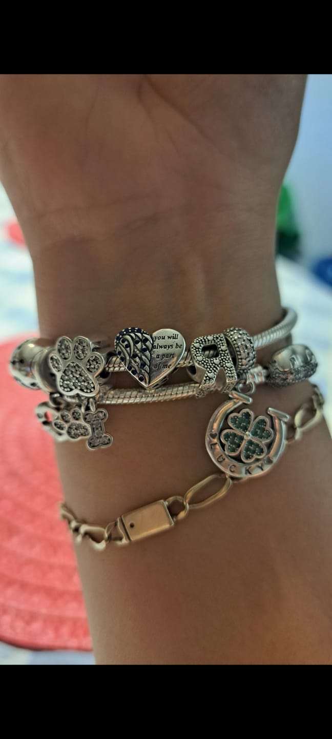 Customer photo review of Charm Huellas de Perrito & Hueso Diamantado