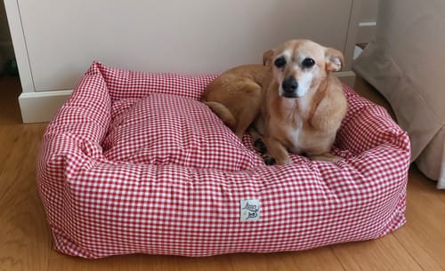 Customer photo review of Divanetto Cotone Vichy Rosso