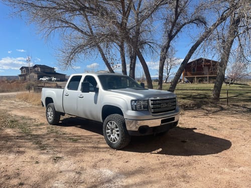 Customer photo review of License Plate Cover