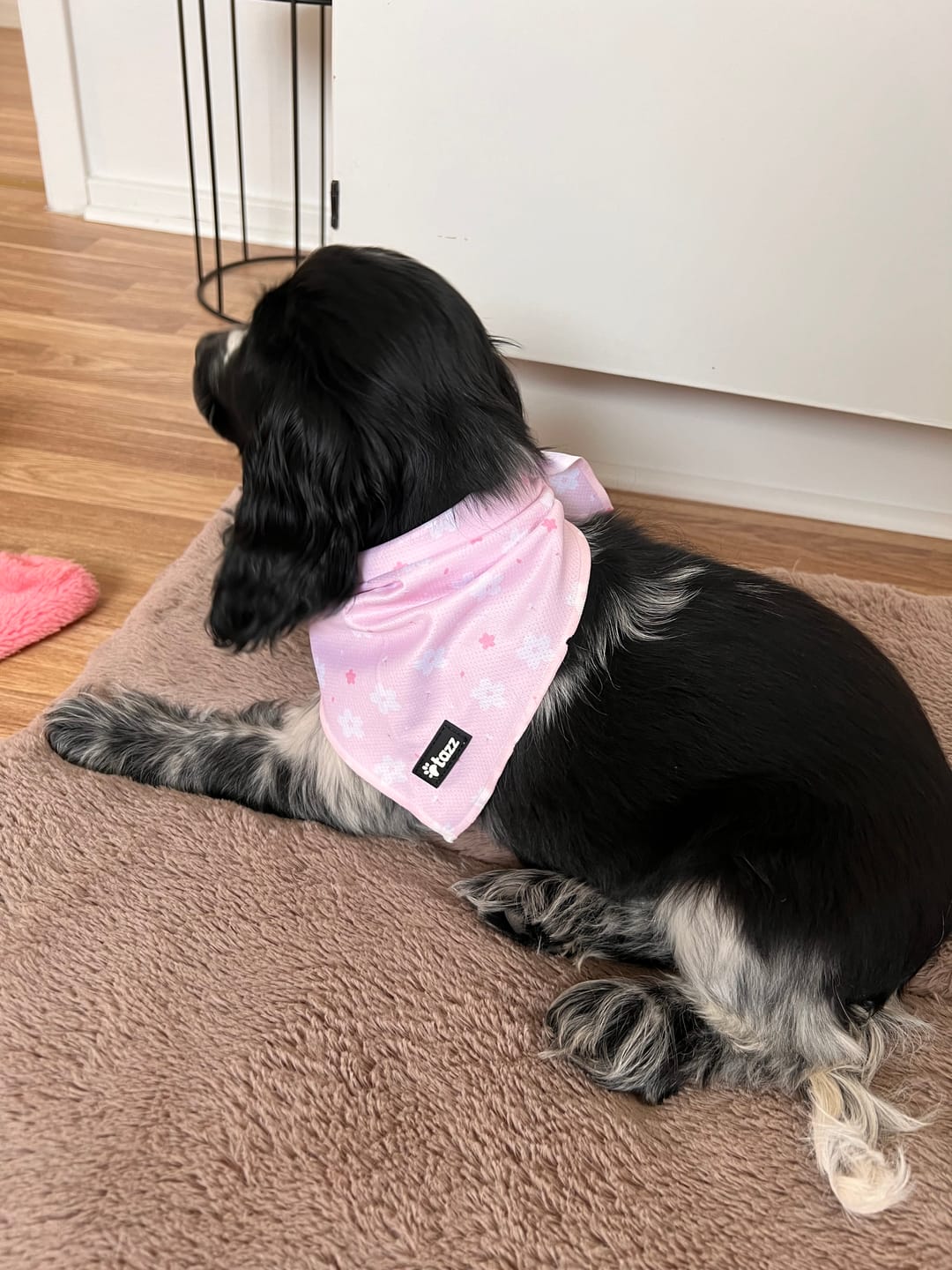 Customer photo review of Bandana - Pink Flower