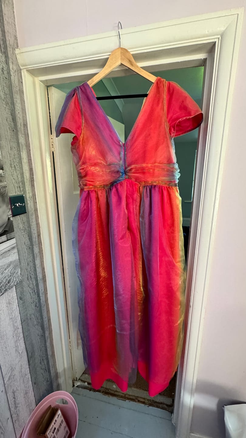 Customer photo review of Rainbow Organza Fabric