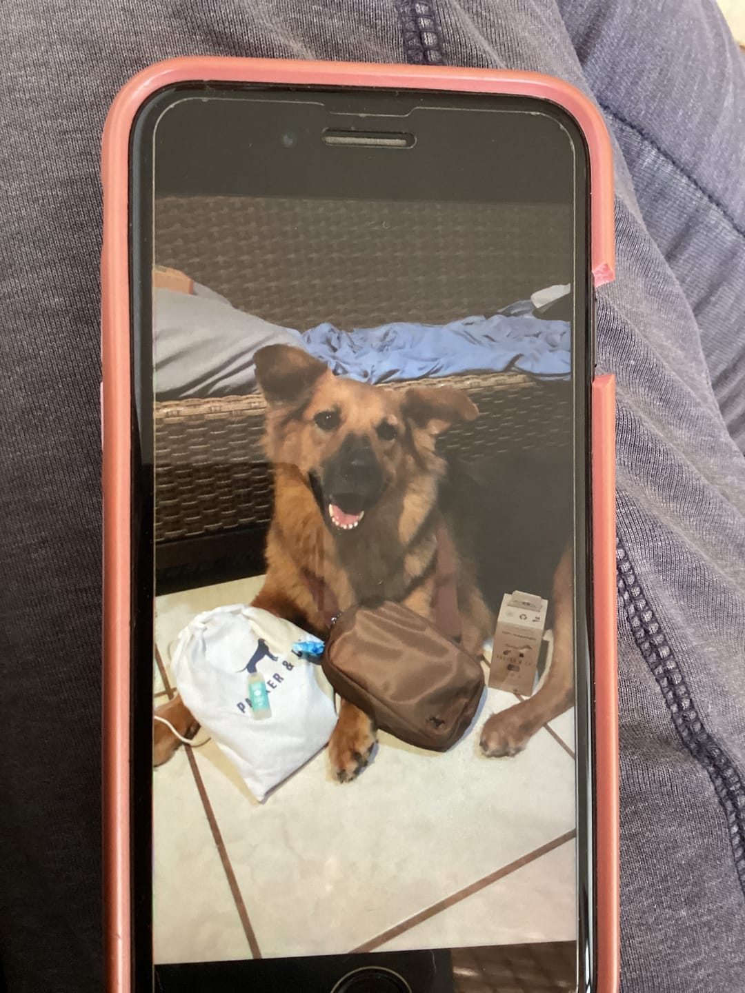 Customer photo review of Snout Screen