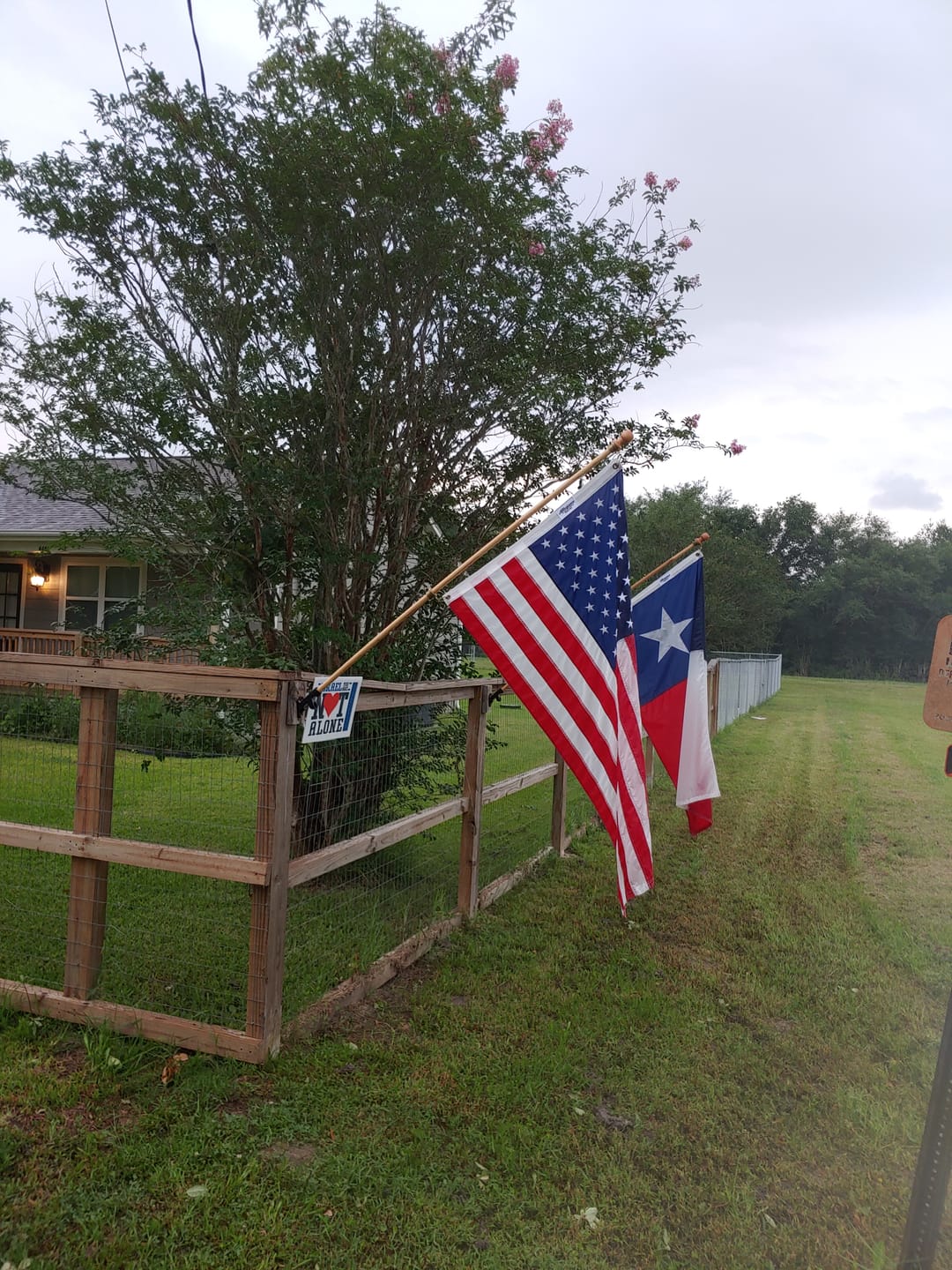 Customer photo review of 3' x 5' Texas Flag Set