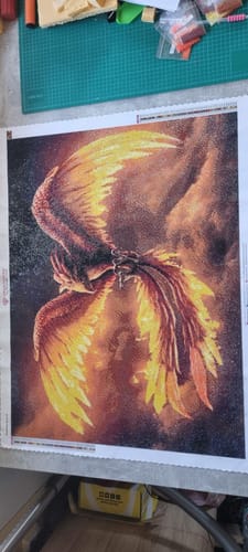 Customer photo review of 5D Diamond Painting Phoenix in Flammen