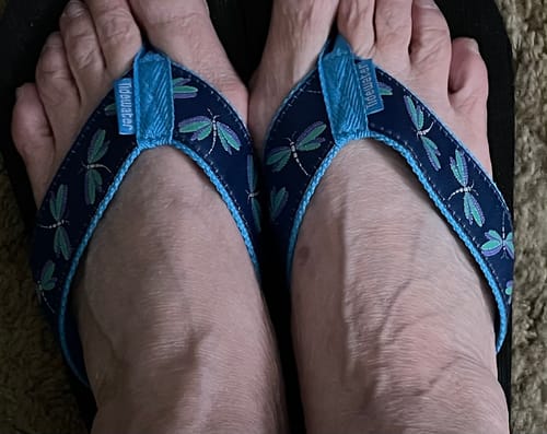 Customer photo review of Dragonflies