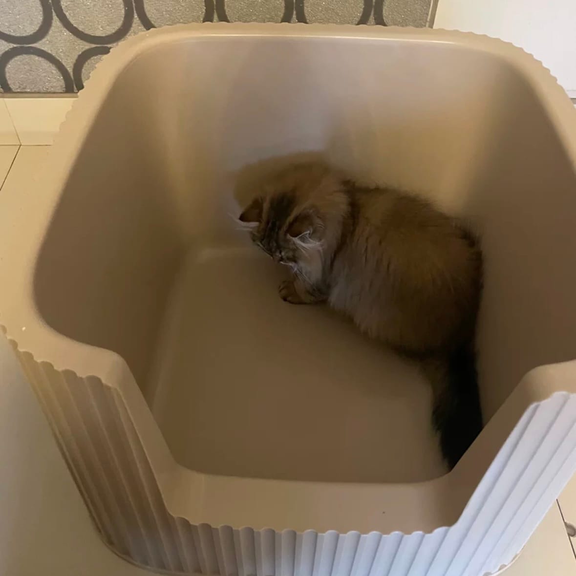 Customer photo review of Michu XXL Coral, BoBa & Sage Deluxe Cat Litter Box - Spacious Design